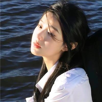 宫崎骏与苍鹭